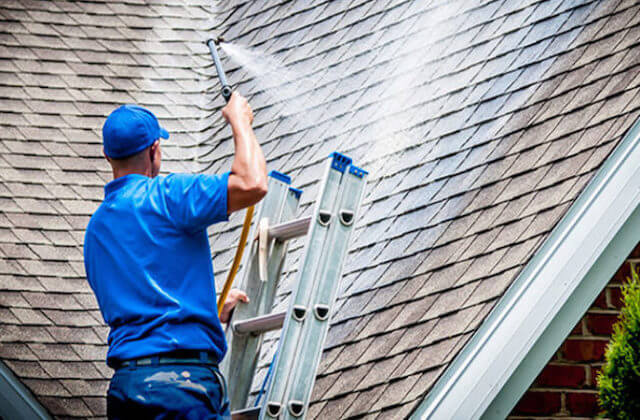 elk grove roof cleaning